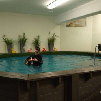 Preview of TierPhysio Paderborn