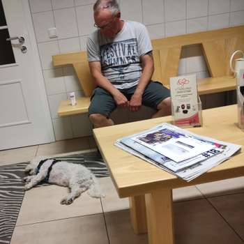 Vorschau von Dr. Steffen Hoffmann