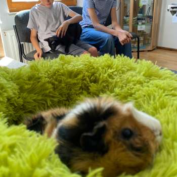 Vorschau von Tierarztpraxis Katrin Held