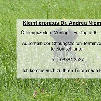 Vorschau von Dr. med. vet. Andrea Niemeyer