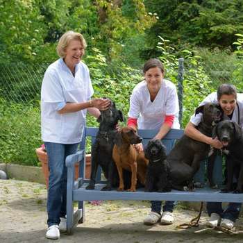 Vorschau von Kleintierklinik München Riem - Dres. med. vet. Lutz