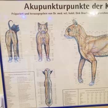 Vorschau von Stefanie Heide-Röller Tierärztin