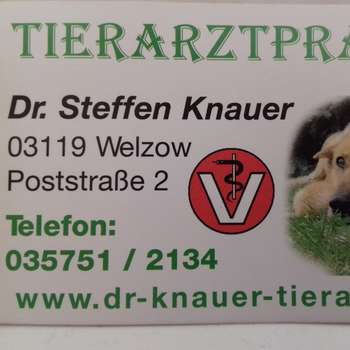 Vorschau von Dr.med. vet. Steffen Knauer