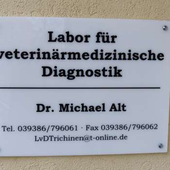 Vorschau von Dr. Michael Alt