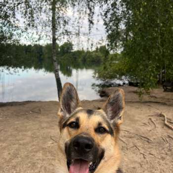 Vorschau von Kleintierspezialisten Am Waller See - Braunschweig