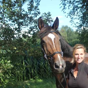 Preview of Tierärztin Ina Holz, Pferdeosteopathin nach Welter-Böller