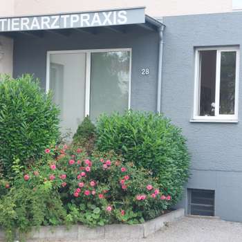 Vorschau von Dr. med. vet. Katharina Gang-Stiller