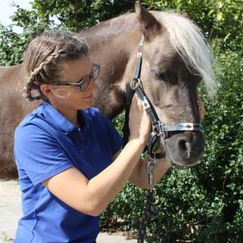 Vorschau von Pferdetherapie Luckwaldt