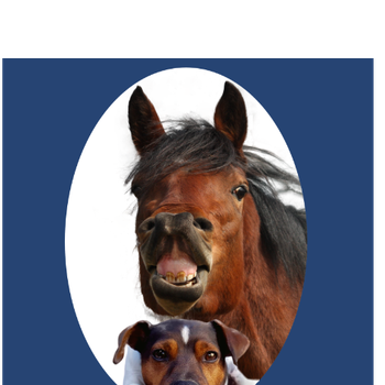 Vorschau von Tierarztpraxis Donnadieu - Chiropraktik & Osteopathie für Pferde und Hunde