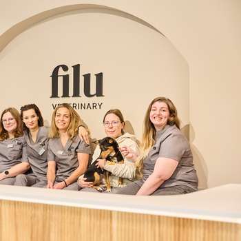 Vorschau von filu Tierarztpraxis Charlottenburg - Allgemein- und Notfallmedizin