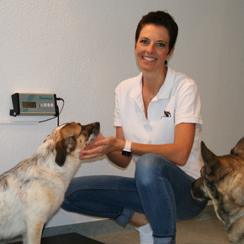 Vorschau von Tierarztpraxis Dr. Sonja Gebhard