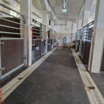 Vorschau von Universität Leipzig - Klinik für Pferde (Chirurgie)