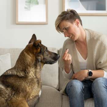 Vorschau von Hundephysio und Tierheilpraxis Simone Kikstein