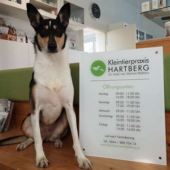 Vorschau von Kleintierpraxis Hartberg