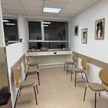 Vorschau von Deine Haustierpraxis