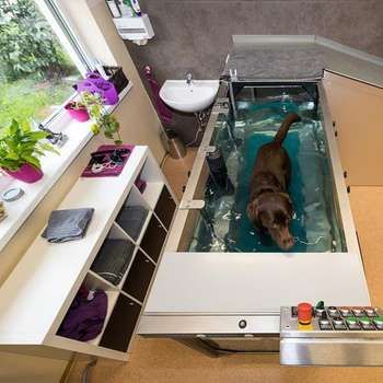 Vorschau von Zentrum für Tierphysiotherapie & Rehabilitation Mag. vet. med Sandra Stastny