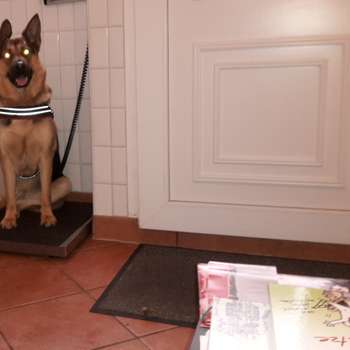 Vorschau von Tierärztin Helga Levens