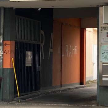 Vorschau von Kleintierpraxis auf der RÜ - Tierärztin Livia Schwigat