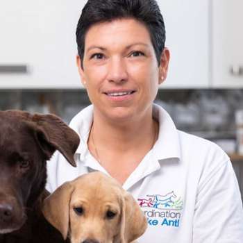 Preview of Ordination Elke Antl - ganzheitliche Tierarztpraxis - Furth bei Göttweig