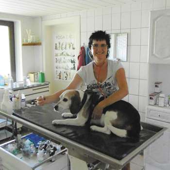 Vorschau von Kleintierpraxis Karin Bendix