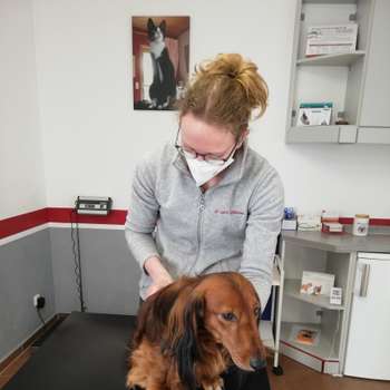 Vorschau von Tierarztpraxis für Chiropraktik Dr. Lena Schönbeck