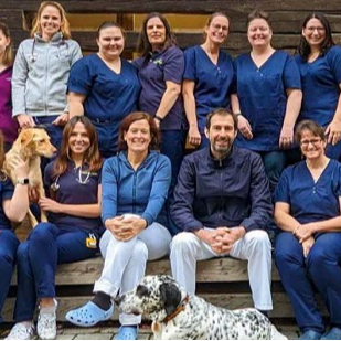 Preview of Tages-Tierklinik Rosenheim