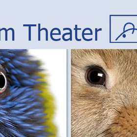 Vorschau von Kleintierpraxis am Theater