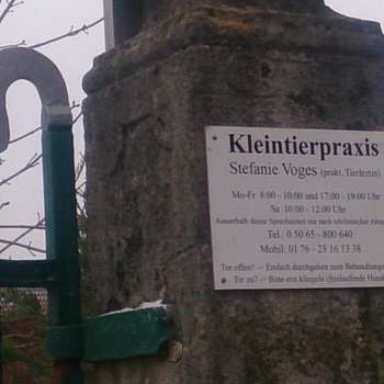 Vorschau von Stefanie Voges