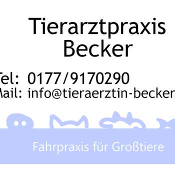 Vorschau von Tierarztpraxis Marie Becker