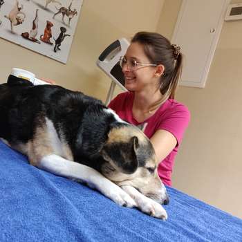 Vorschau von Tierärztliches Zentrum für Physiotherapie und Rehabilitation
