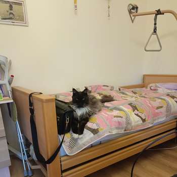 Preview of Tierambulanz Schwanberg