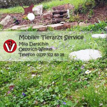 Vorschau von Tierzentrum Rheingau - Mila Darschin