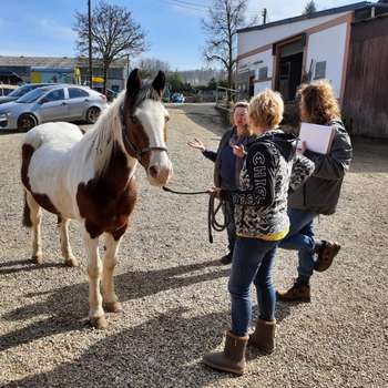 Vorschau von Regu-Vet Therapie- und Schulungszentrum für Tierphysiotherapie - Ulrike Mönnich