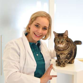 Vorschau von Kleintierpraxis Kerstin Pabst Salzburg
