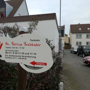 Vorschau von Dr. Bettina Brabänder