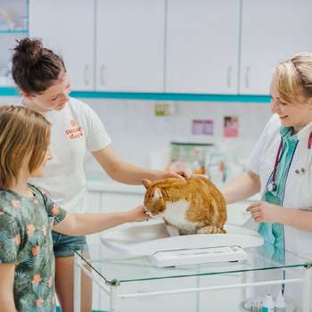 Vorschau von Tierärztin Kerstin Korch