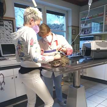 Vorschau von Mag. Dr. Wagner Bernhard & Mag. Dr. Brigitta Wagner