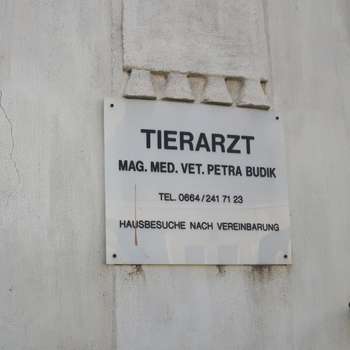 Preview of Mag. Petra Budik