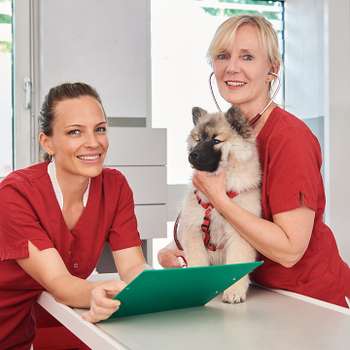 Vorschau von Tierärzte-Team Dreieich