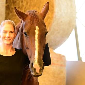 Vorschau von Chiropraktik für Pferde und Hunde - Sophia Kämena