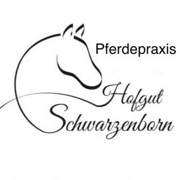 Preview of Pferdepraxis Hofgut Schwarzenborn GmbH