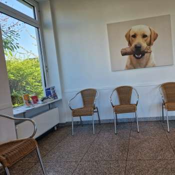 Vorschau von Dr. med. vet. Dirk Schiller