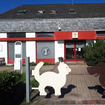 Vorschau von Tierärztin Tatjana Tolkmitt
