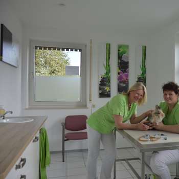 Vorschau von Ganzheitliches Therapiezentrzum, Tierärztliche Gemeinschaftspraxis Baur/Dr.