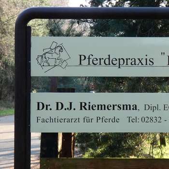 Vorschau von Pferdepraxis Den Heyberg