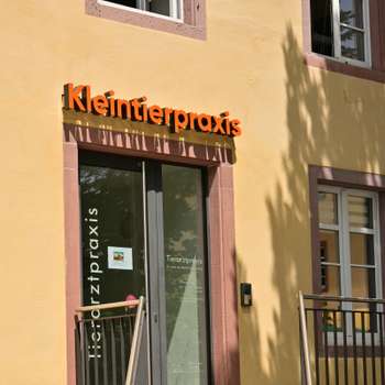Vorschau von Dr. Kerstin Koppenburg