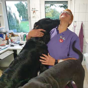 Vorschau von Tierarztpraxis Brentgens