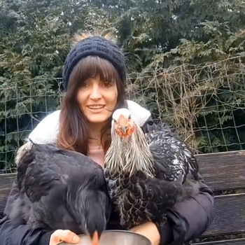 Preview of mobile Tierheilpraxis Federliebe (Behandlung von Geflügel wie Hühner, Enten, Gänse, Wachteln uvm)