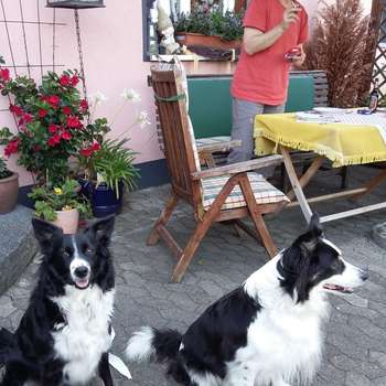 Vorschau von Tierarztpraxis Wolfgang Mindt