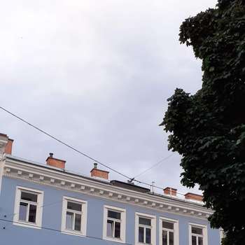Vorschau von Tierambulatorium Inzersdorf